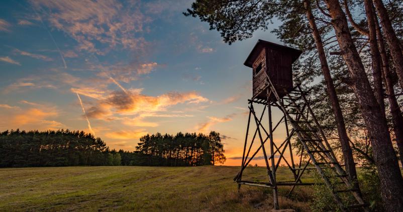 Chasse à Mons-Borinage : protéger les promeneurs sans stigmatiser les chasseurs